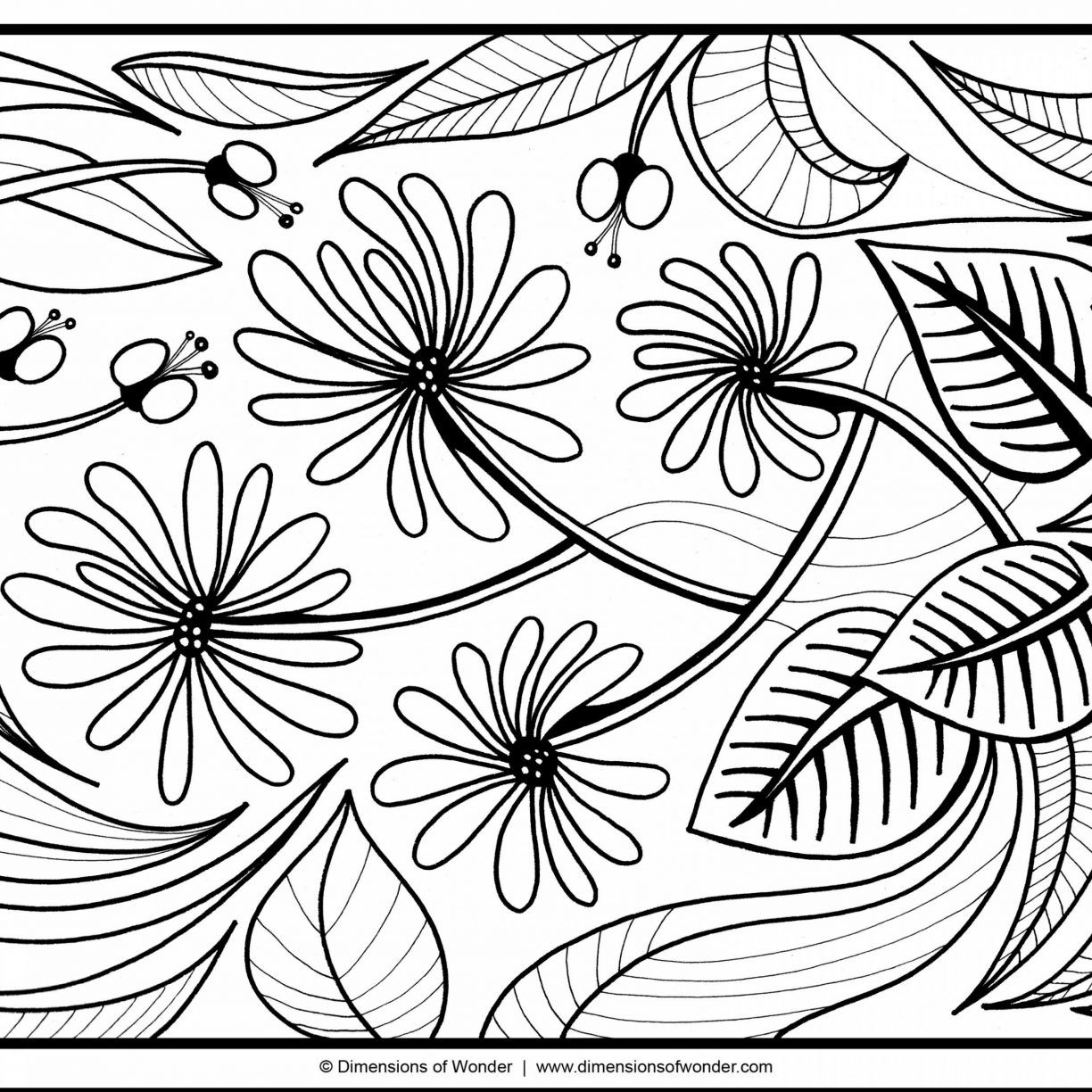 1224x1224 Nba Miami Heat Logo Basketball Coloring Pages And General Free