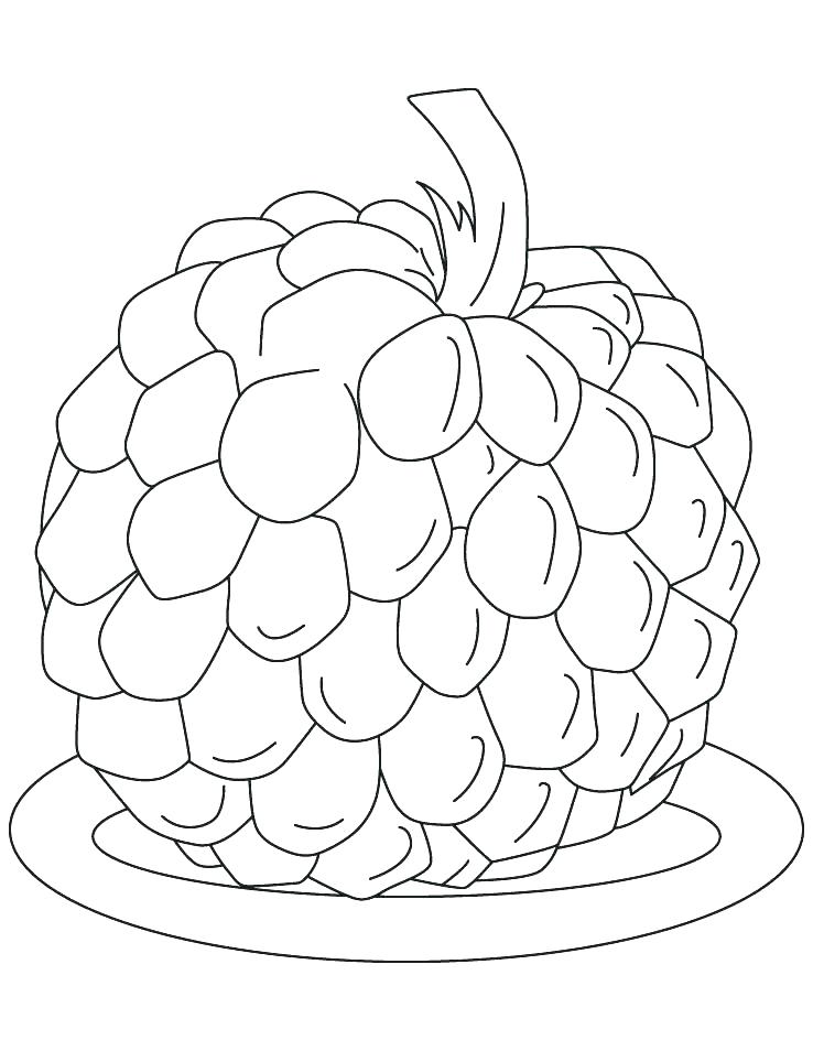 738x954 Apple Tree Coloring A Is For Apple Coloring Page Apple Coloring