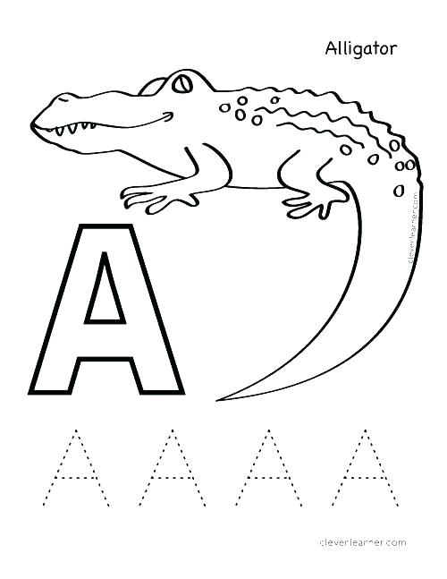 500x647 Alligator Coloring Pages Alligators Coloring Page Realistic