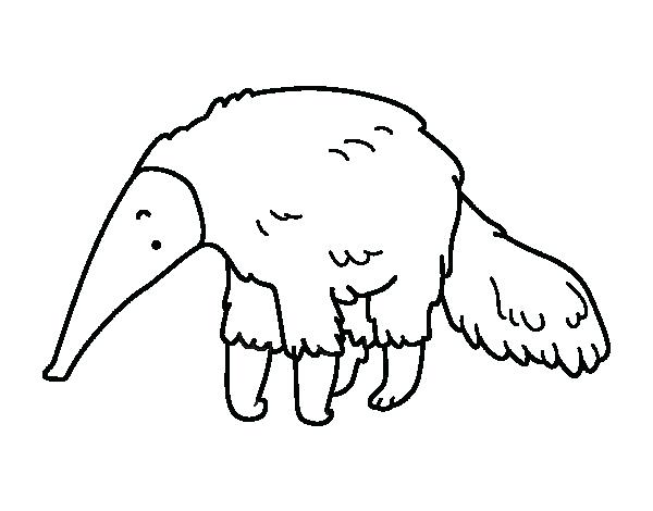 600x470 Anteater Coloring Page Anteater Coloring Page Aardvark Talking