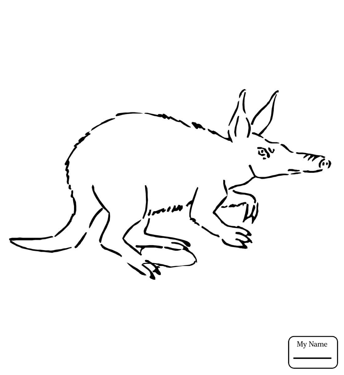 1106x1204 Awesome Aardvark Coloring Page Gallery Printable Coloring Sheet
