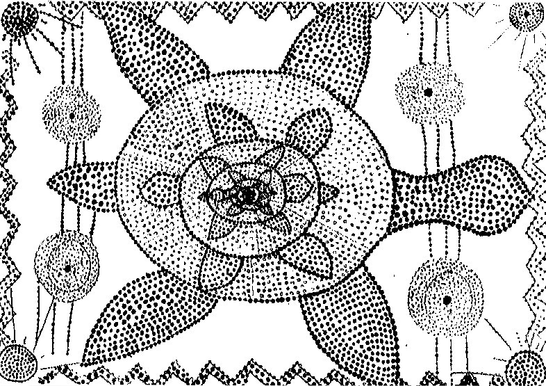 786x555 Adult Coloring Page Aboriginal Art Tortoise