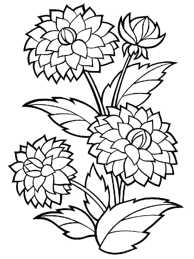 750x1000 Flowers Coloring Page Coloring Pages Flowers Printable Flowering