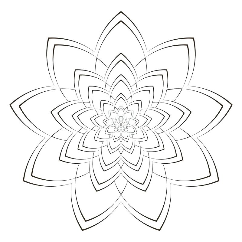 800x800 Intricate Flower Coloring Pages Flower Pattern Coloring Pages