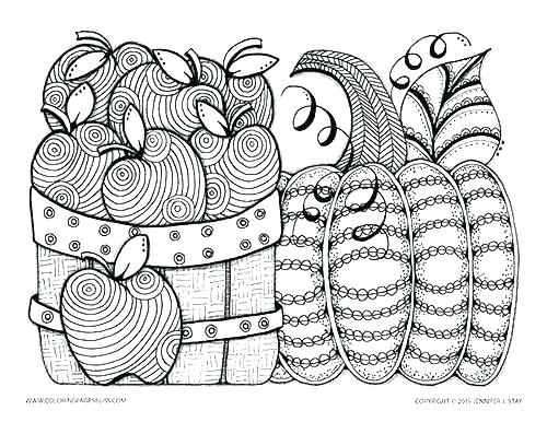 500x386 Detailed Owl Coloring Pages Free Fun Coloring Pages Free Fun