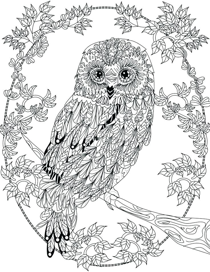 736x952 Marvellous Coloring Pages Owls Owl Coloring Pages Owl Abstract