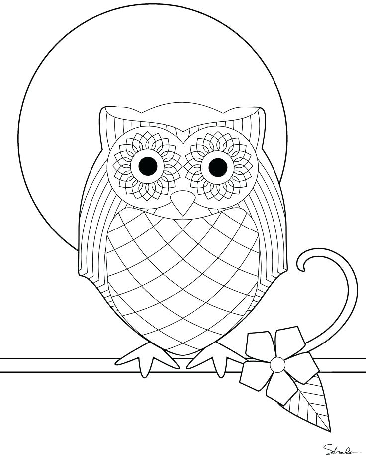 736x920 Owl Color Pages Snowy Owl Coloring Pages Owl Coloring Pages