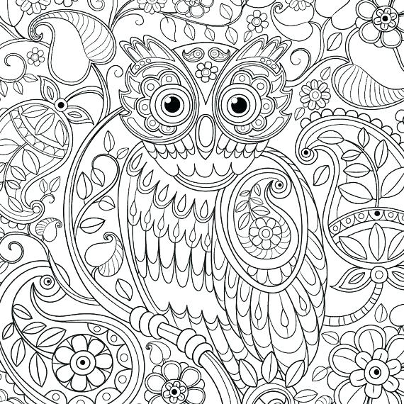 570x570 Abstract Owl Coloring Pages For Adults