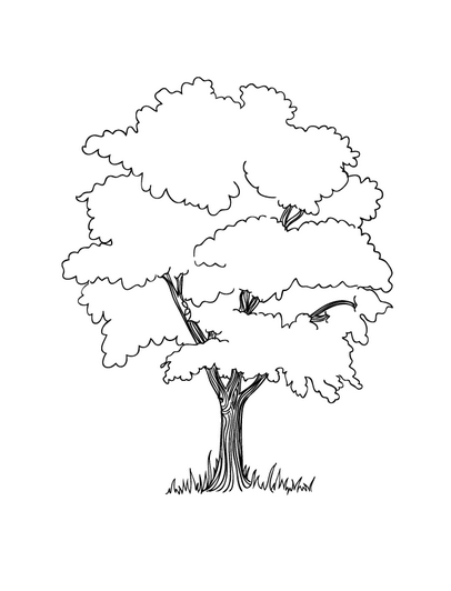 406x532 Apple Tree Coloring Book