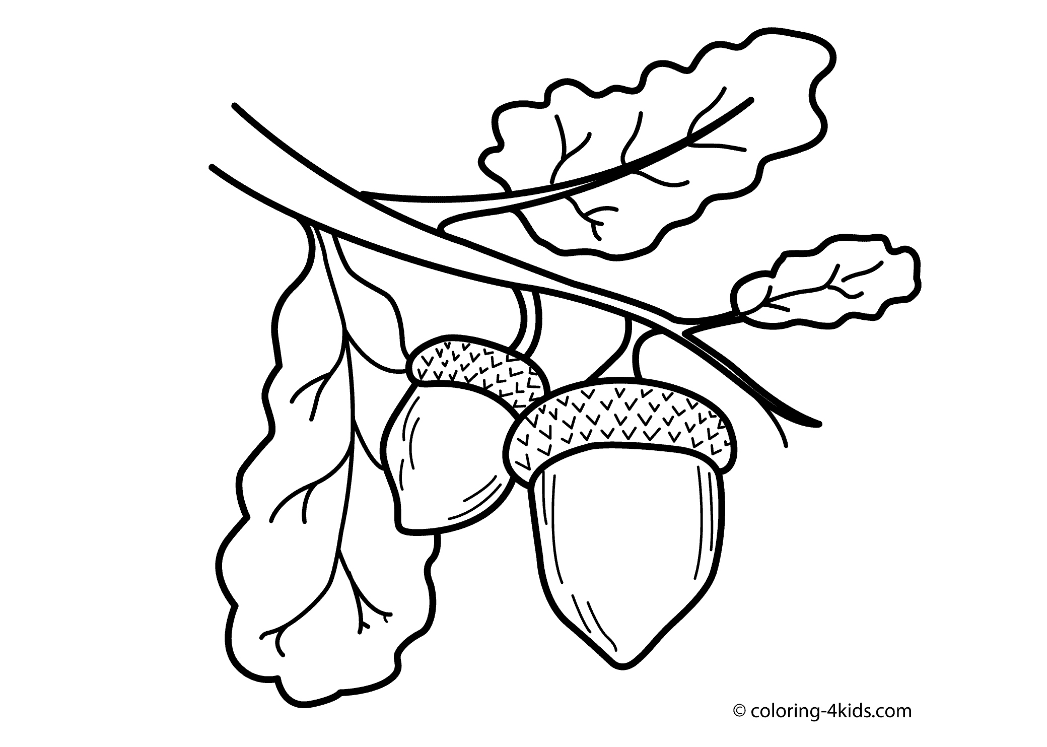 2079x1483 Acorn Coloring Pages Awesome Free Coloring Pages Of Acorns