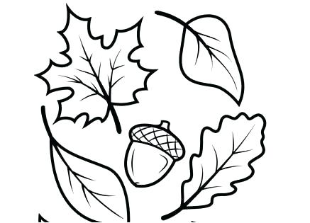 437x315 Acorn Coloring Pages Coloring Pages Of Fall Leaves Fall Leaves