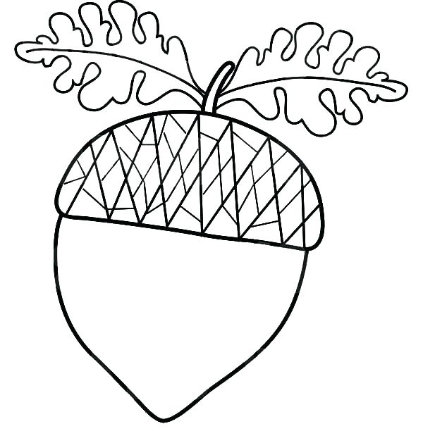 600x612 Acorn Coloring Pages Squirrel Sally Acorn Coloring Pages