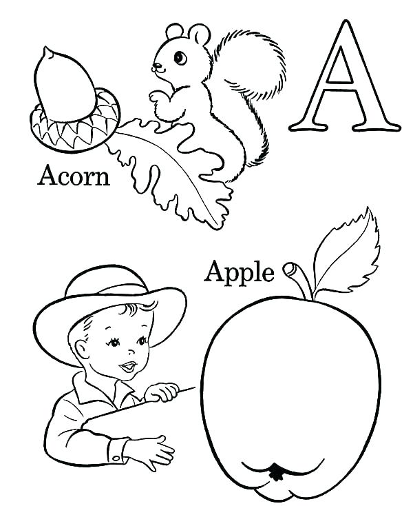 600x734 Acorn Coloring Page