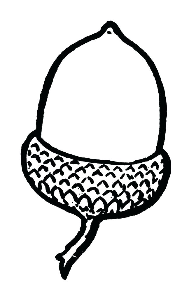 648x1024 Acorn Coloring Page Coloring Pages For Kids School Stuff Acorn