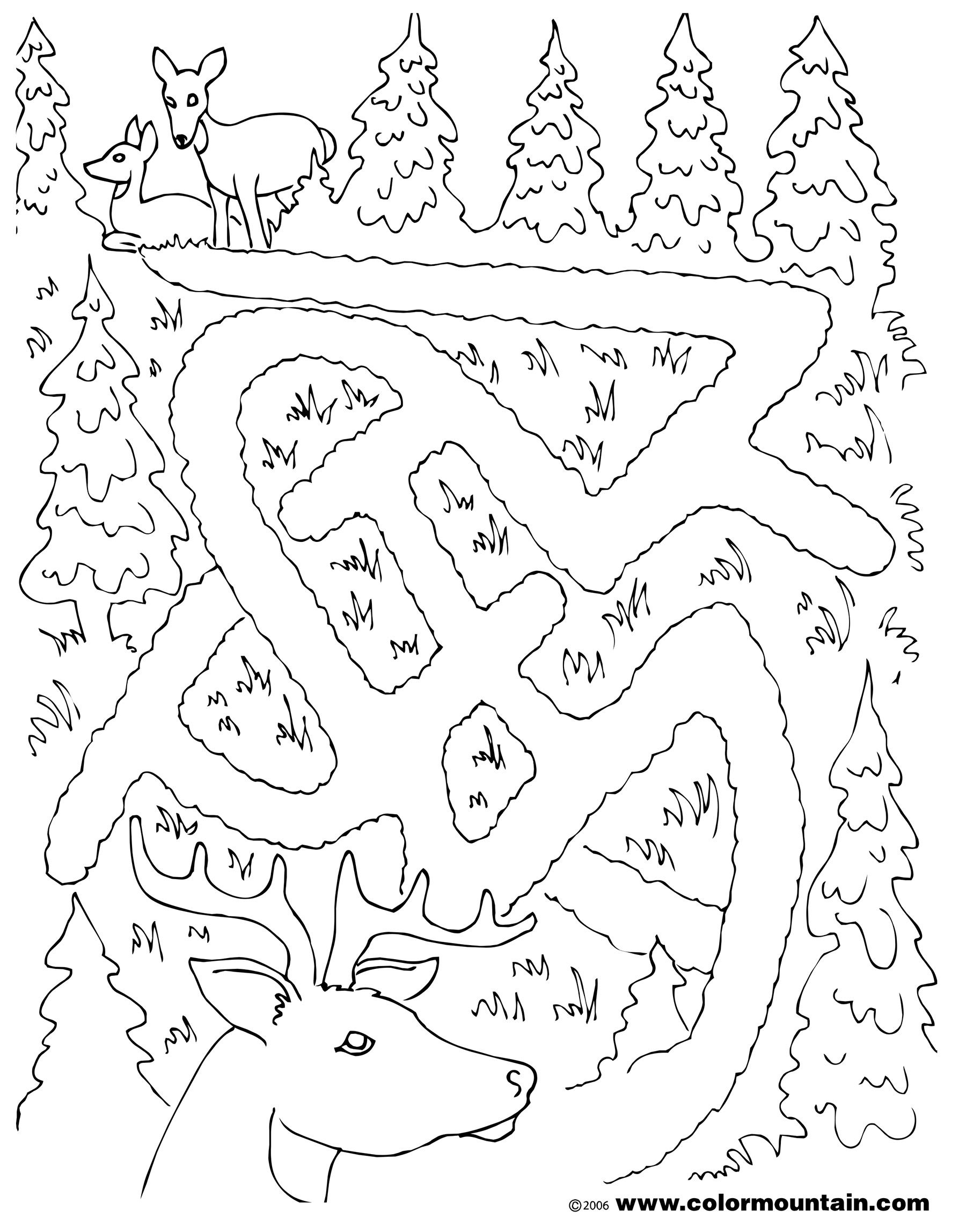 1800x2294 Deer Maze Activity Coloring Sheet Coloring Page Wea Deer Class
