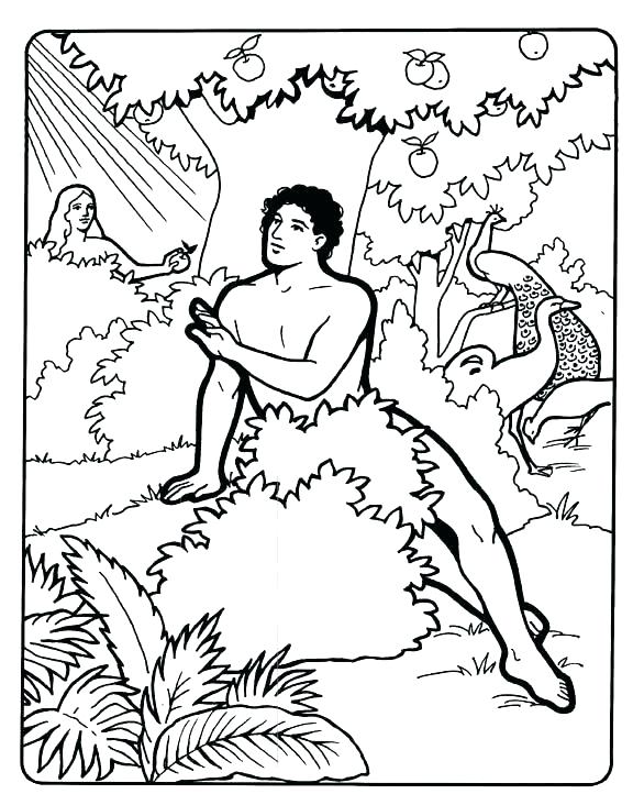 576x732 Adam And Eve Coloring Pages Images And Eve Coloring Page Coloring