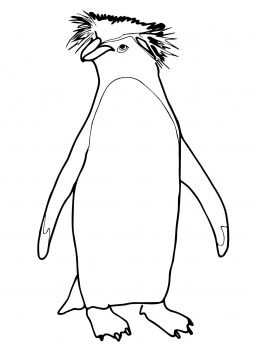 262x350 Penguin Coloring Pages Craft Ideas Penguins And School