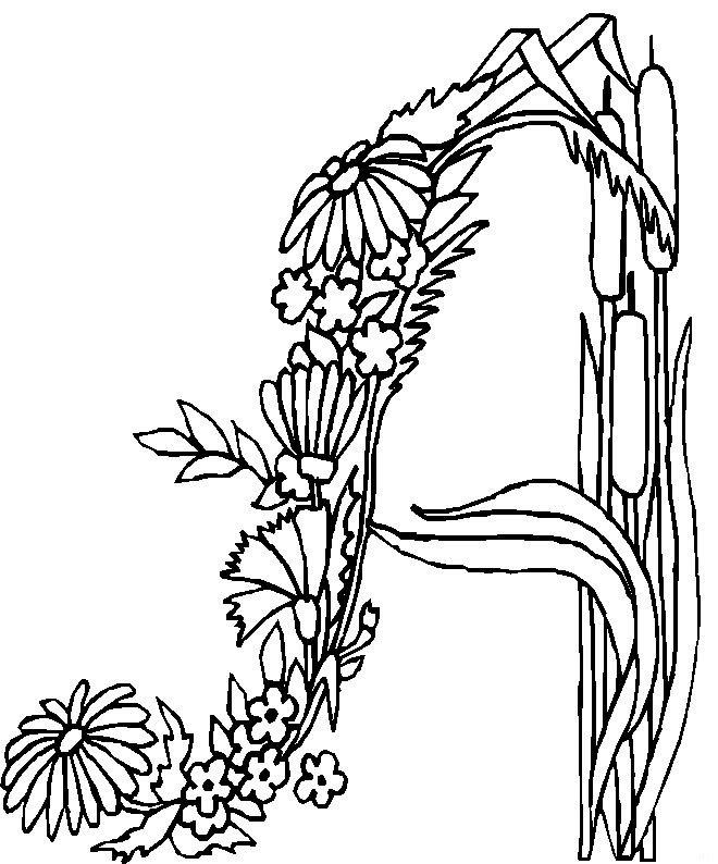 660x794 Kids N Coloring Pages Of Alphabet Flowers