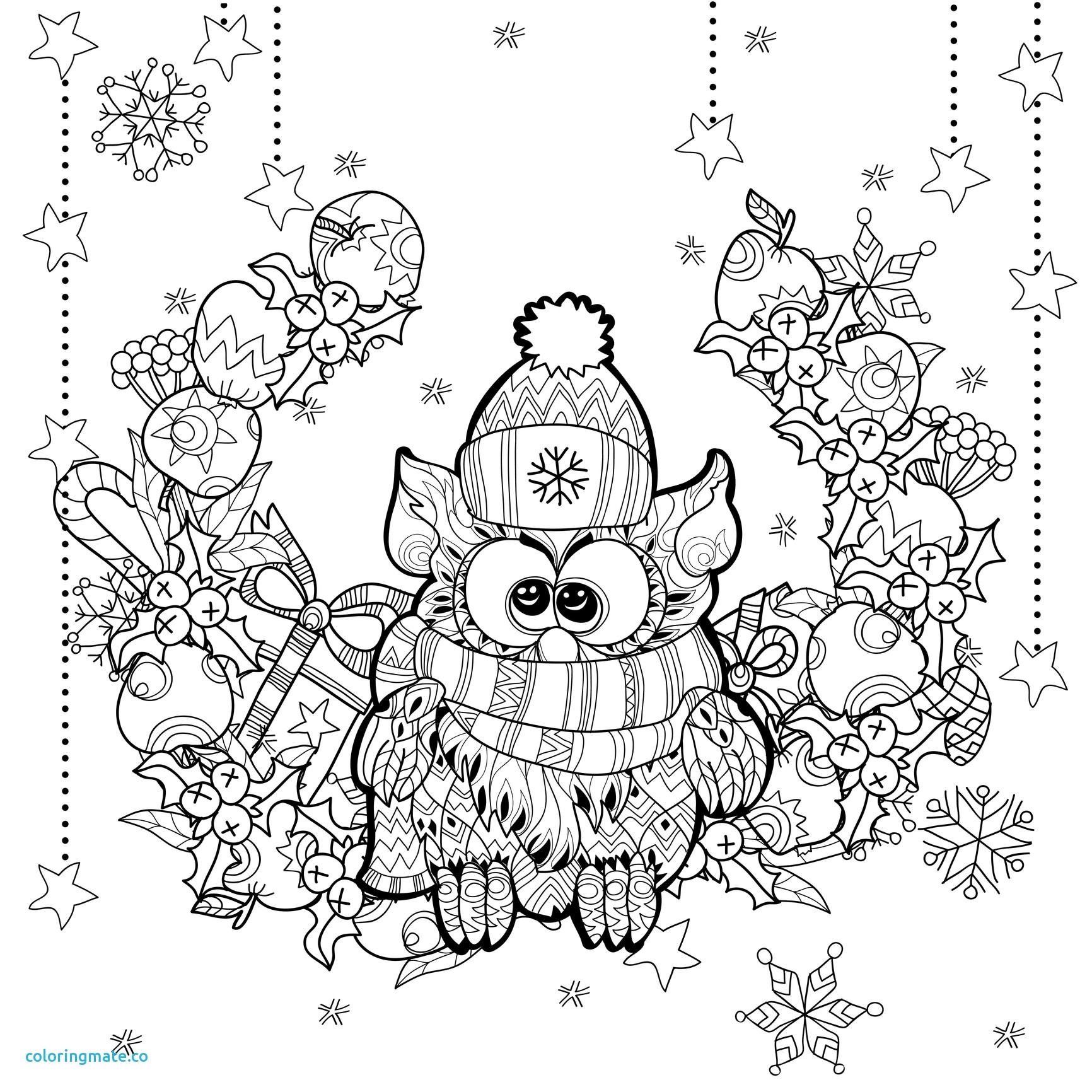1732x1732 Owl Christmas Coloring Pages Printable Coloring For Kids