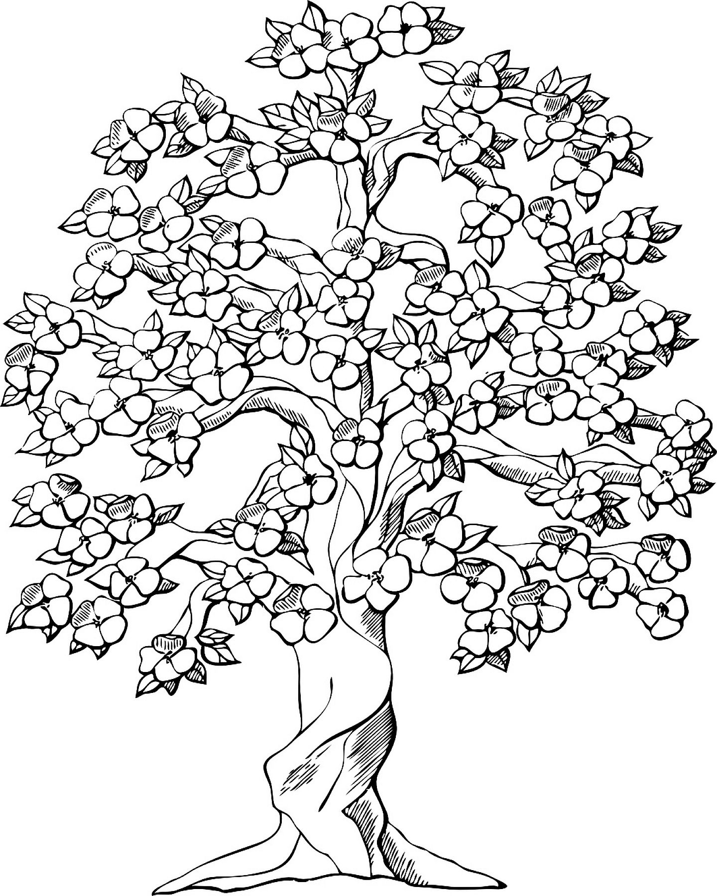 1440x1800 Apple Tree Coloring Pages Ebcs Printable Free Trees Of Adults Palm