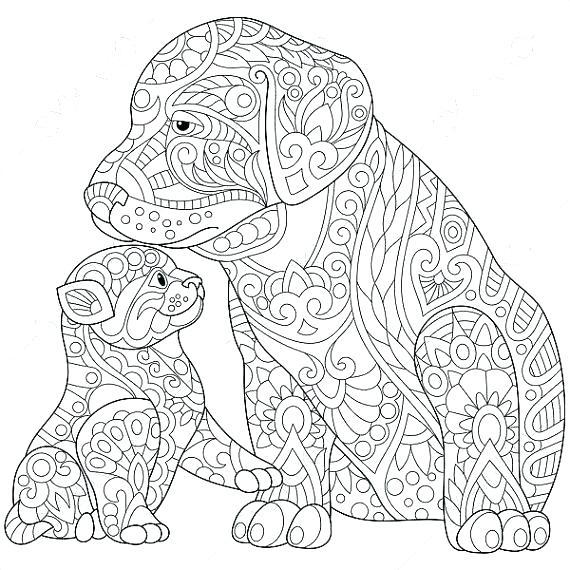 570x570 Animal Coloring Pages For Adults Adult Coloring Pages Animal