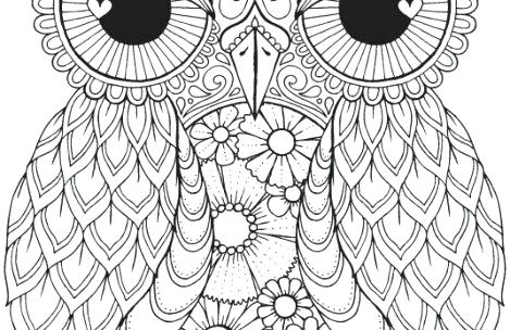 469x304 Animal Design Coloring Pages Adult Coloring Pages Animal Patterns