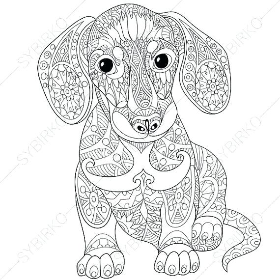 570x570 Free Animal Coloring Pages For Adults