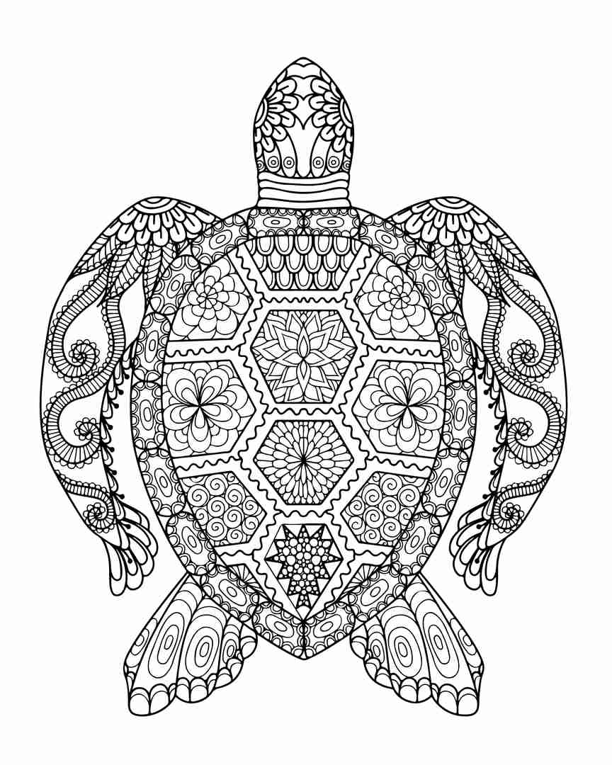 864x1080 Sea Turtle Adult Coloring Pages Animal Patterns Printable