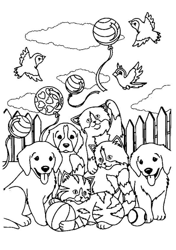 595x842 Print Coloring Image Adult Coloring, Punch Needle Patterns