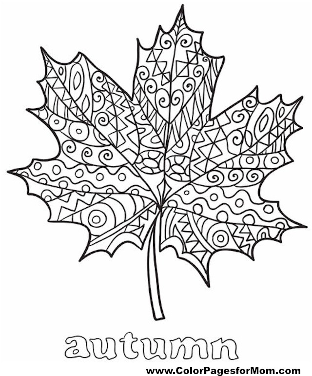 640x771 Fall Coloring Pages