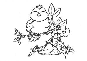 300x210 Coloring Pages For Adults To Print And Color Free Parrots Bird
