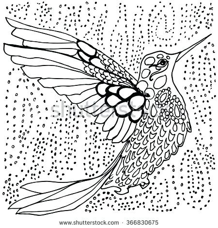 450x470 Adult Coloring Pages Birds Flowers Mandala Designs Hummingbird