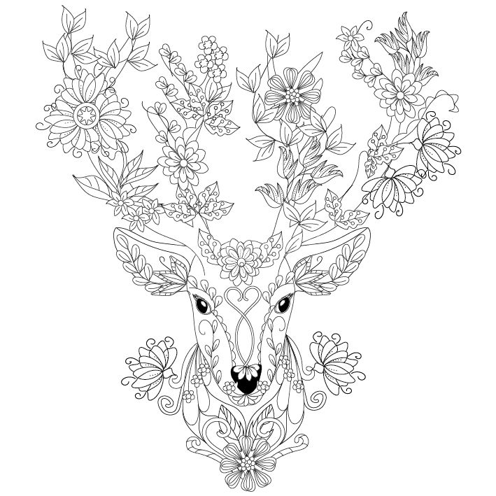 709x709 Deer Coloring Page Design Ms Tattoos