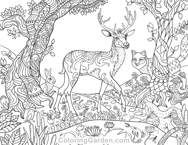600x464 Adult Coloring Pages