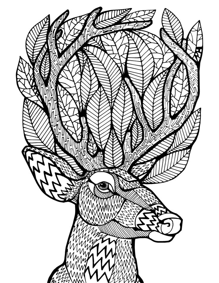 736x952 Adult Coloring Pages Deer Tumblr Free