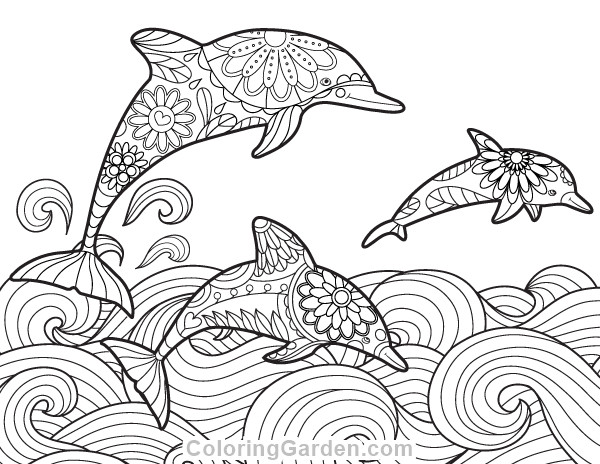 Adult Coloring Pages Dolphin