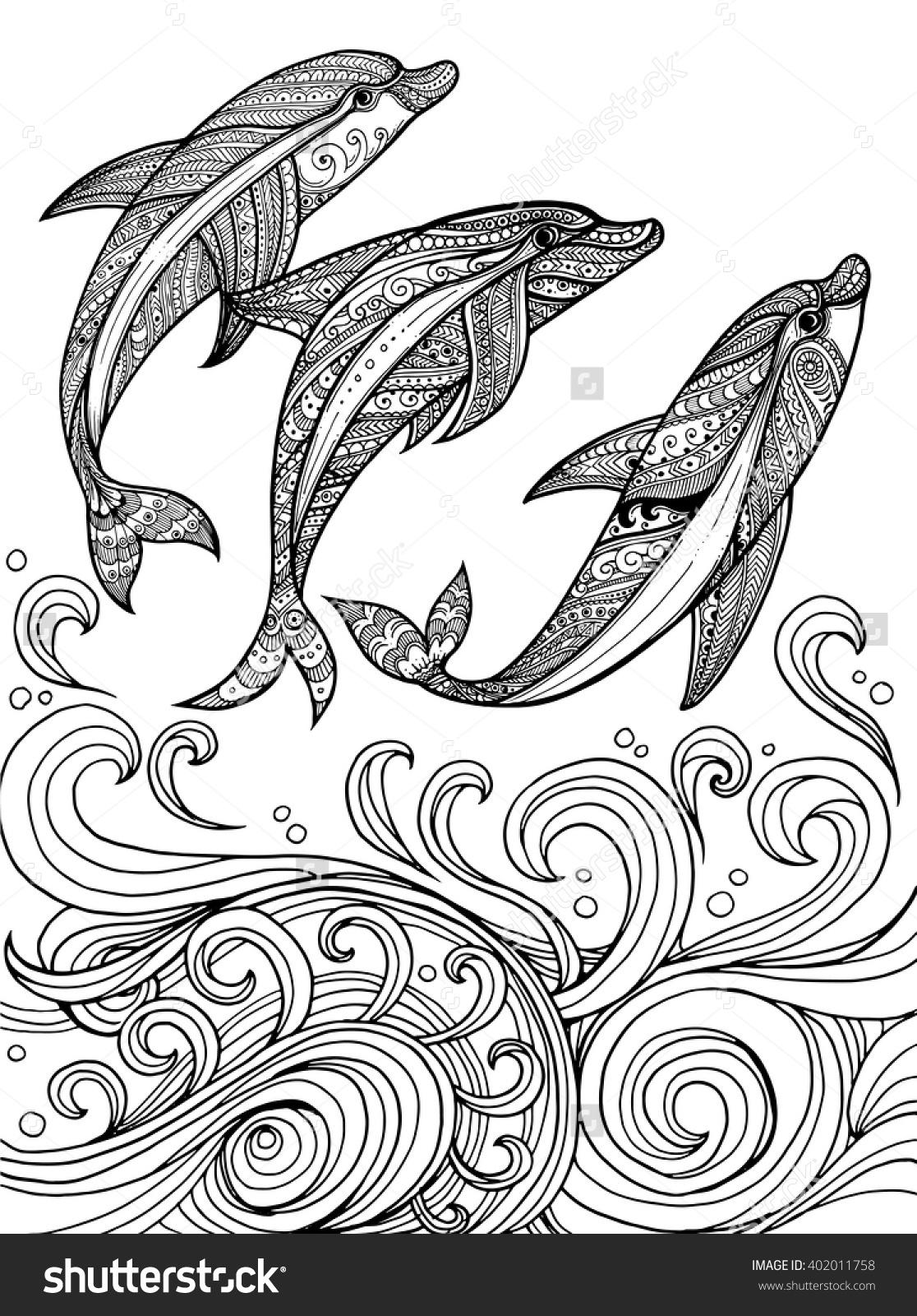 1116x1600 Drawn Dolphin Coloring Page Pencil And In Color Ripping Adult