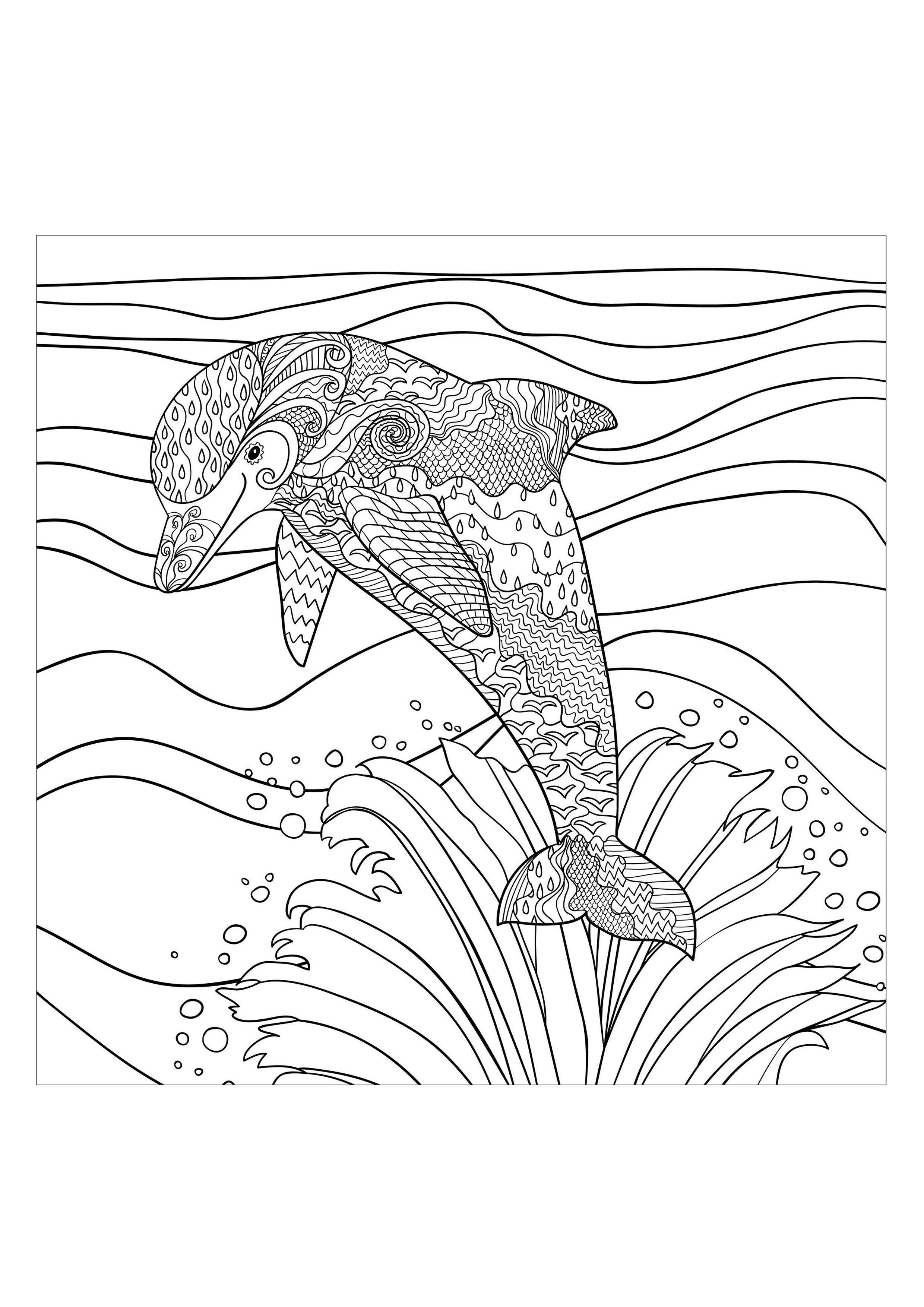 2480x3508 Adult Coloring Pages Animals Dolphin Free