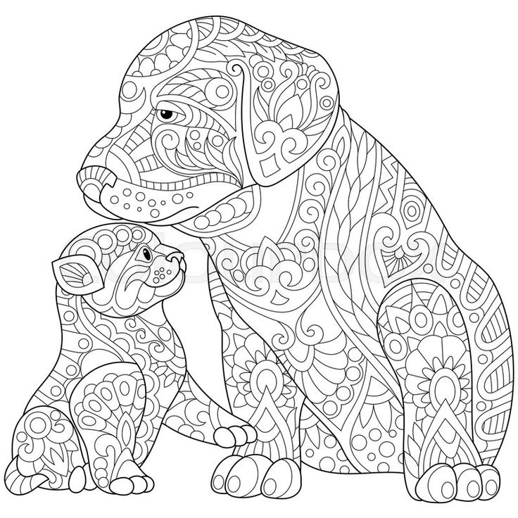 736x736 Easy Adult Coloring Pages Mandala Puppy And Kitten Download