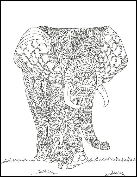 Adult Coloring Pages Elephant