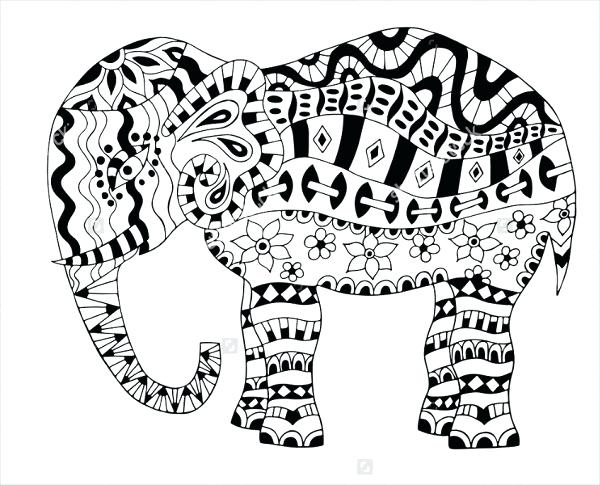 600x485 Coloring Pages Elephant Elephant Coloring Page Tumblr Coloring