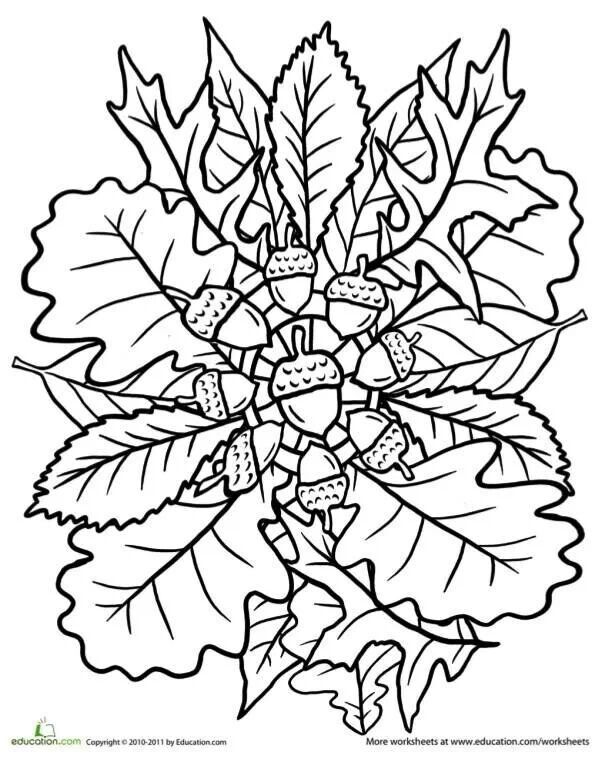 609x764 Autumn Coloring Pages