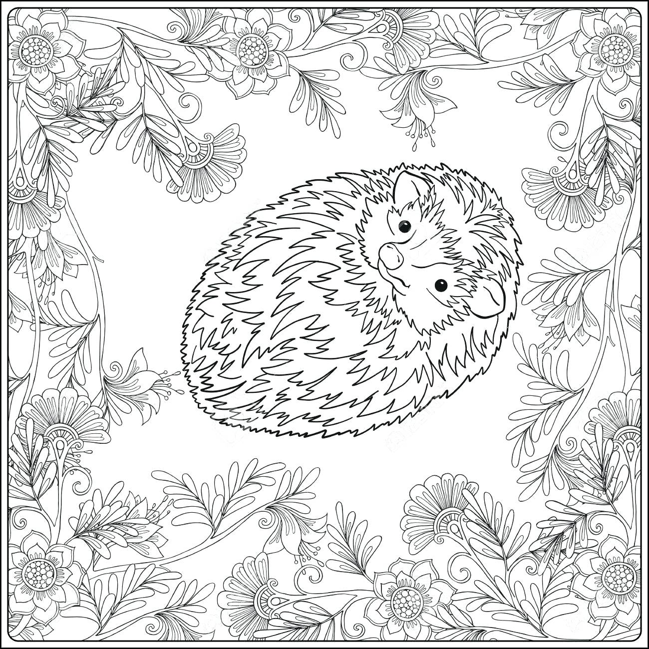 1300x1300 Coloring Pages Garden Coloring Pages Gardening Flower Garden