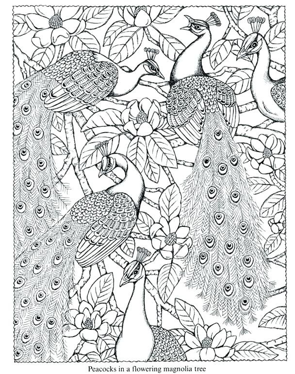 Adult Coloring Pages Nature at GetDrawings | Free download