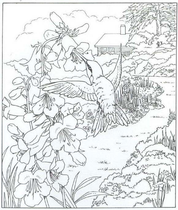 580x683 Coloring Pages Of Nature Around The House On Kids N