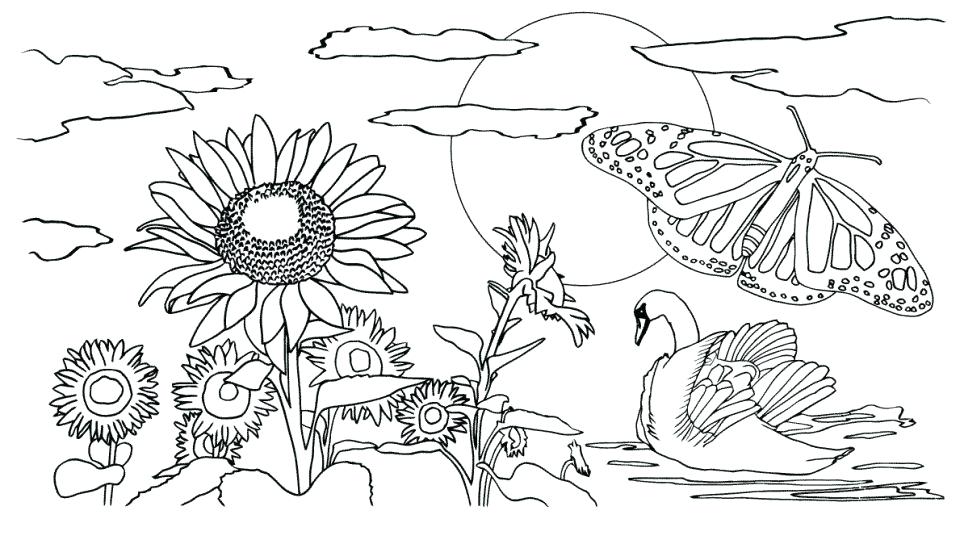 960x544 Awesome Coloring Pages Adults Nature Or Coloring Page