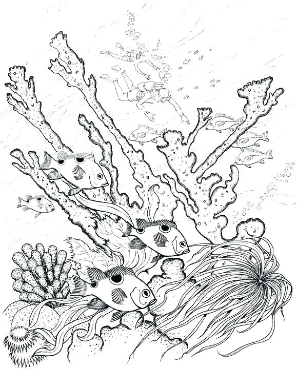 579x720 Ocean Coloring Page Underwater Coloring Pages Adult Coloring Page