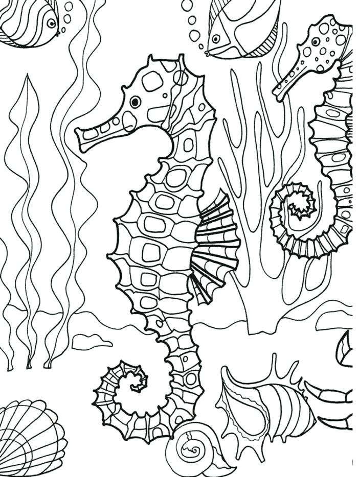 700x934 Coloring Pages Under The Sea Vanda