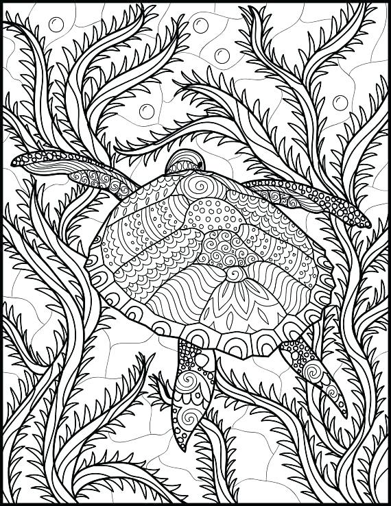 570x738 Sea Turtle Printable Coloring Pages Vanda