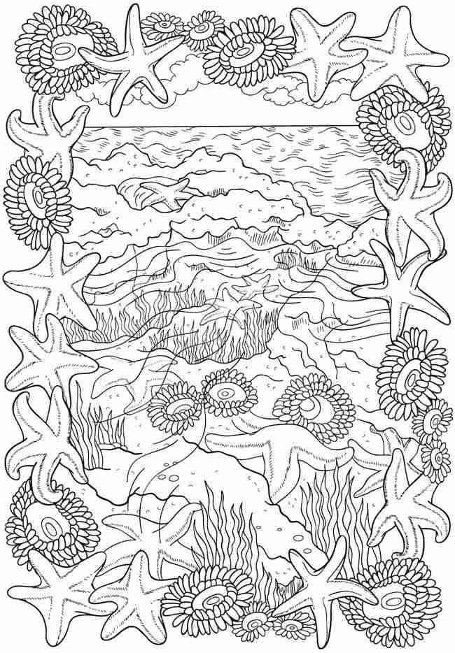 650x934 Adult Coloring Pages Ocean Olegratiy